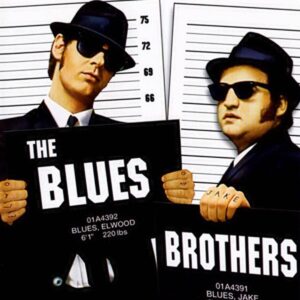 Blues Brothers Sunglasses